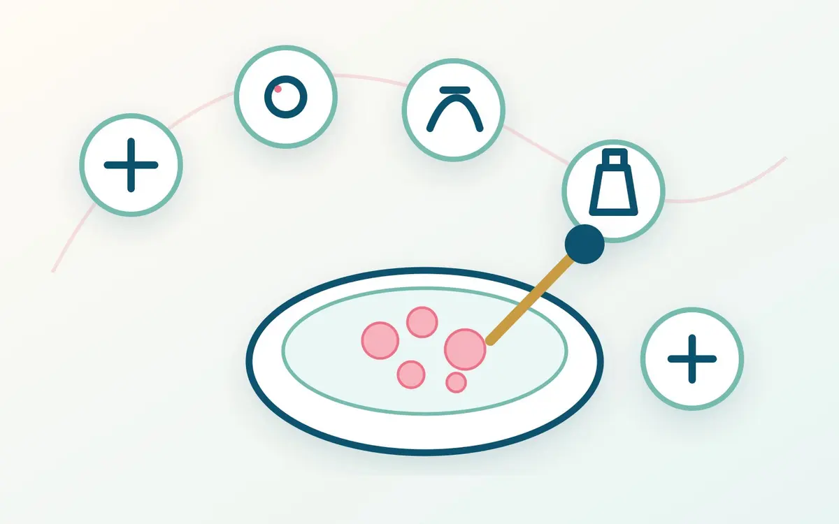 Scientific illustration of IVF laboratory stages relevant to a regulated assisted reproduction pathway
